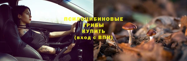 винт Медвежьегорск