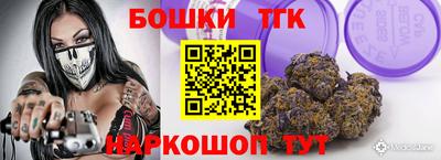 индика Гусь-Хрустальный