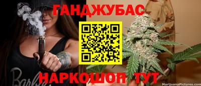 индика Гусь-Хрустальный