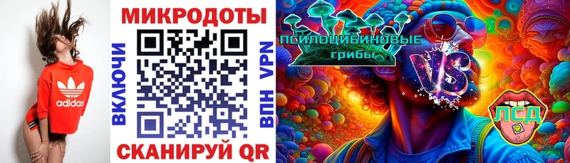 блэк спрут рабочий сайт  Зеленодольск  Галлюциногенные грибы Psilocybine cubensis 
