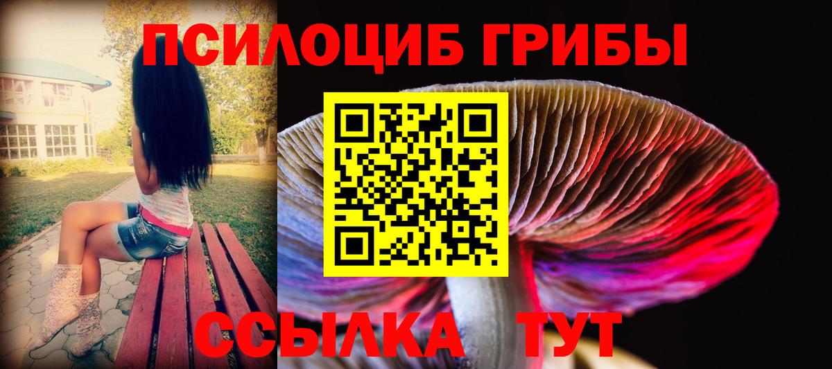 Галлюциногенные грибы Psilocybine cubensis  купить   Зеленодольск 